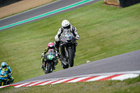 brands-hatch-photographs;brands-no-limits-trackday;cadwell-trackday-photographs;enduro-digital-images;event-digital-images;eventdigitalimages;no-limits-trackdays;peter-wileman-photography;racing-digital-images;trackday-digital-images;trackday-photos
